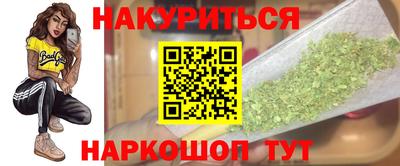 гашик Новокубанск