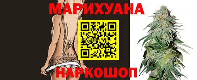 гашик Новокубанск