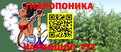 кокс Новодвинск