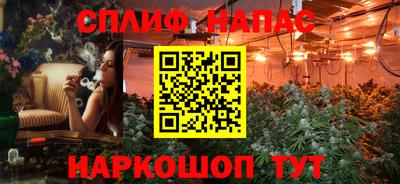 гашик Новокубанск