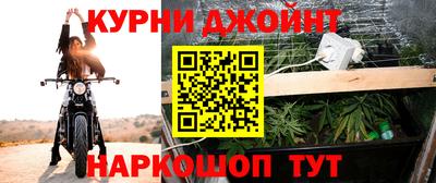 гашик Новокубанск
