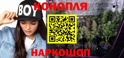 гашик Новокубанск