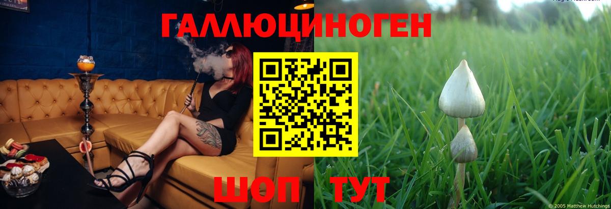 Солнечногорск  Псилоцибиновые грибы ЛСД  Вход с VPN 